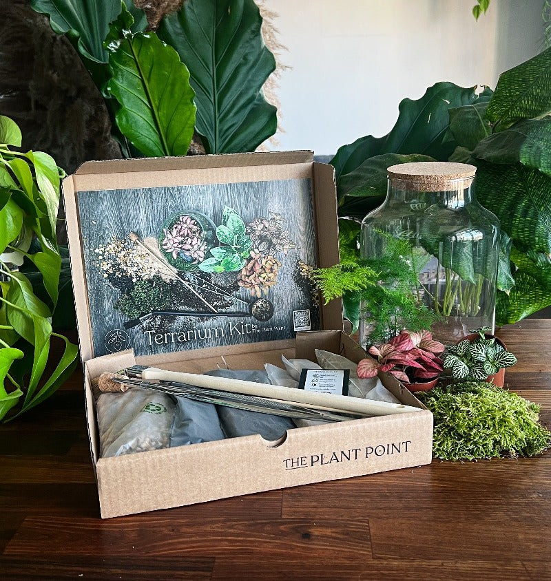 terrarium plant kit uk Terrarium Kit – DIY Moss Garden in Glass Jar *