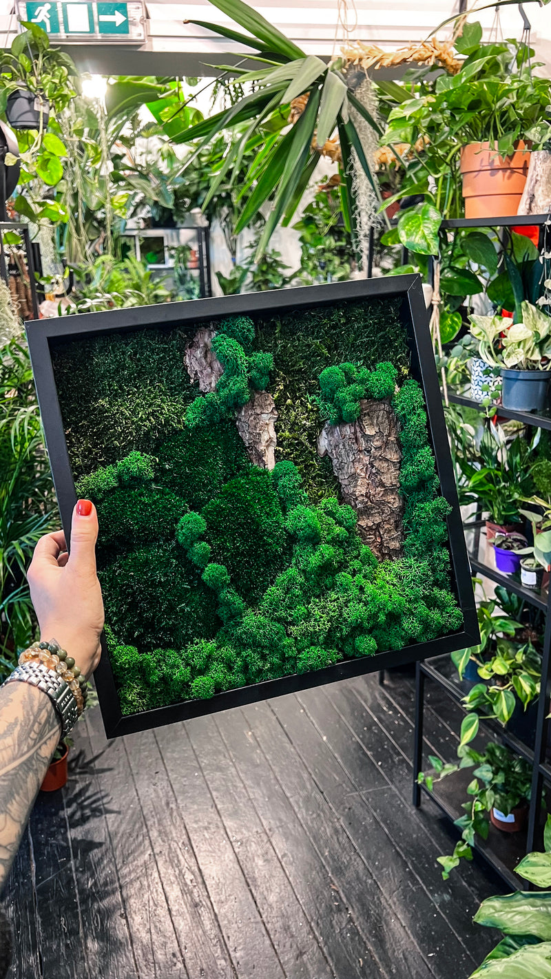 `#detail-photo`
Preserved moss frame kit ideal for adding natural, low-maintenance greenery to small London flats