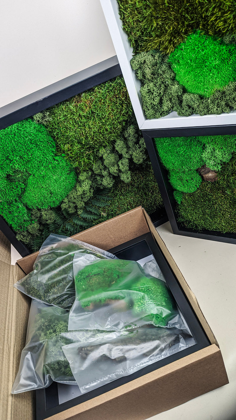 Eco-friendly preserved moss frame kit – a perfect handmade gift for plant lovers across the UK.
