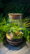 LED Jar Terrarium Workshop