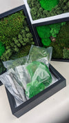Moss Frame Kit - Make Your Own Moss Art