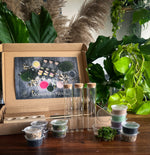 Handcrafted mossarium inside clear glass container with layered substrate.