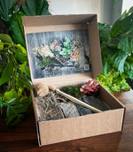Bottle Terrarium Kit from The Plant Point London with glass container and moss