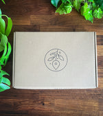 Build-your-own mossarium with natural moss and eco-friendly materials