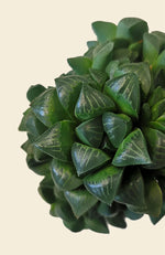 `#detail-photo`