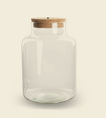 DIY terrarium kit jar