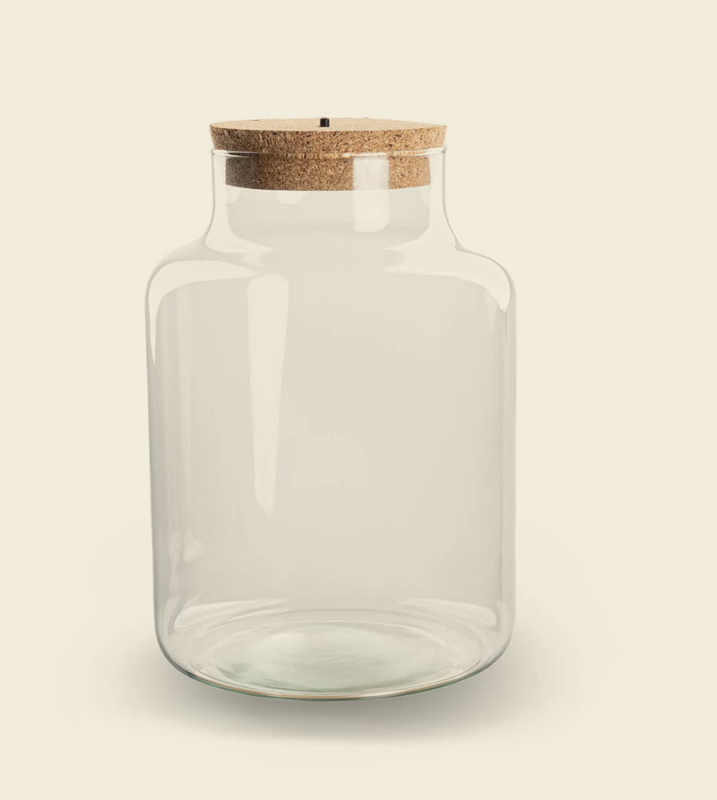 DIY terrarium kit jar