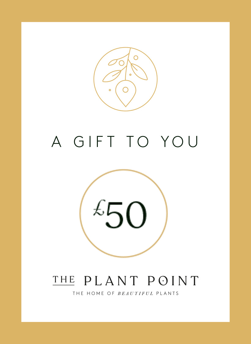 Point Gift The Plant Point Gift Card