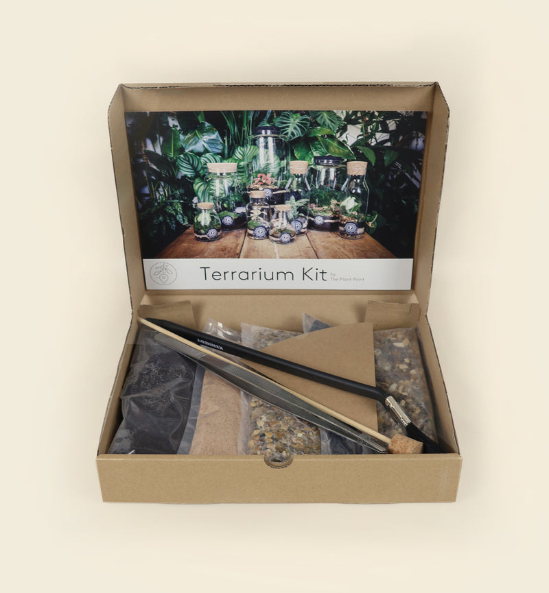 Terrarium kit