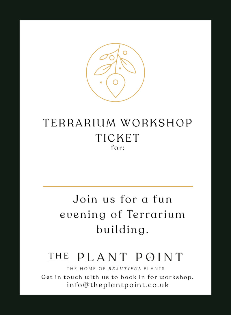 Terrarium Workshop - Open Ticket