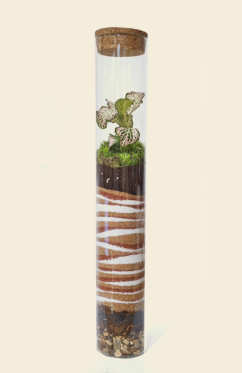 Terrarium tube