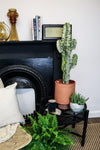 #detail-photo